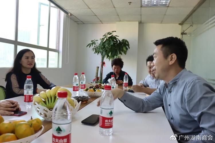 广州市湖南商会走访会员企业广州市辉霆信息咨询，共谋信息咨询行业新发展